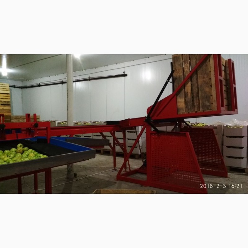 Фото 3. SORTER Линия / машина для калибровки и сортировки яблок и других фруктов и овощей