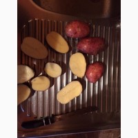 Картофель оптом 5+ от производителя Ред Скарлет