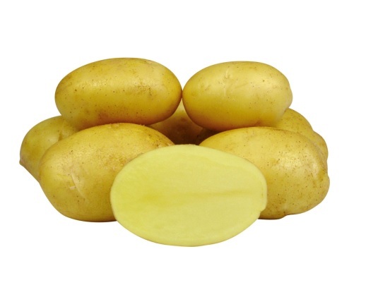 Семенной картофель Королева Анна