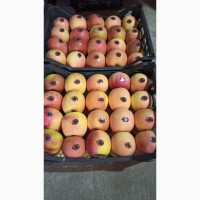 Продаем яблоки с Азербайджана