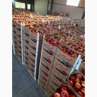 Продаем яблоки с Азербайджана