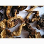 Шиитаке грибы сушеные