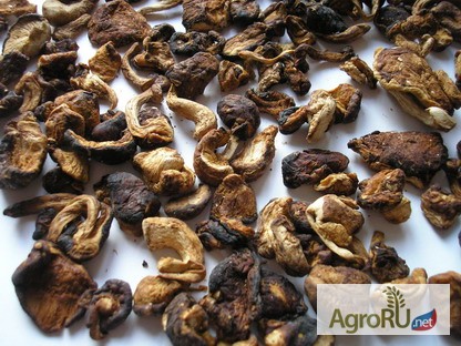 Фото 5. Шиитаке грибы сушеные