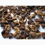 Шиитаке грибы сушеные