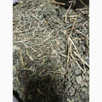 Ежевика сизая лист рез 20-25 мм Ароматная (оптом от 5кг)