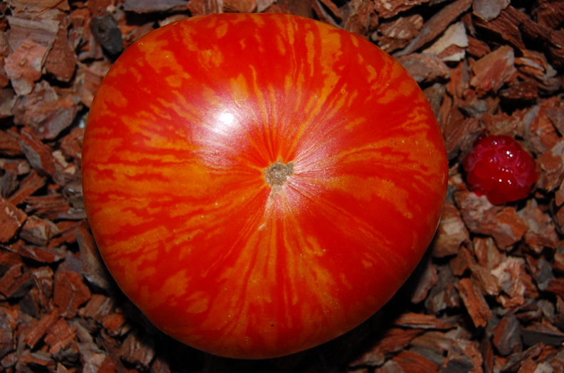 Фото 10. Семена редких коллекционных сортов томатов и перцев. Фото и описание сортов
