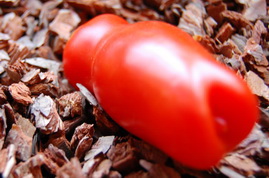 Фото 11. Семена редких коллекционных сортов томатов и перцев. Фото и описание сортов