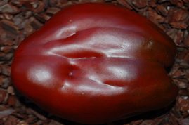 Фото 2. Семена редких коллекционных сортов томатов и перцев. Фото и описание сортов