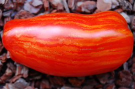Фото 3. Семена редких коллекционных сортов томатов и перцев. Фото и описание сортов