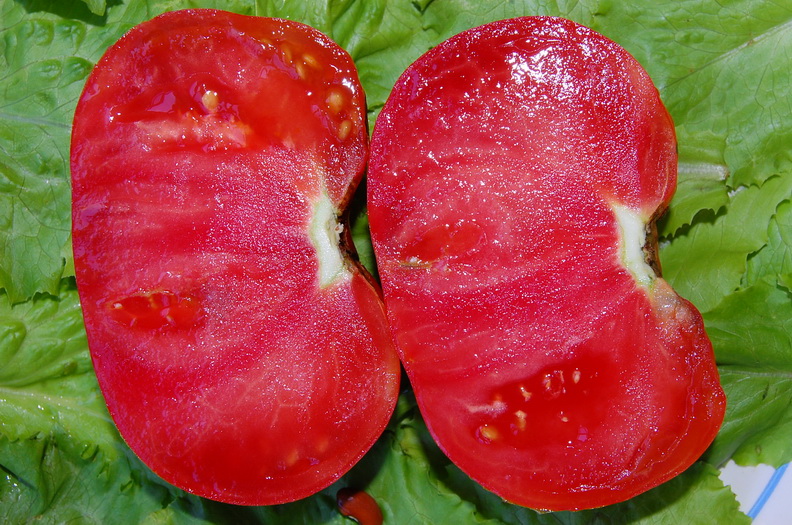 Фото 8. Семена редких коллекционных сортов томатов и перцев. Фото и описание сортов