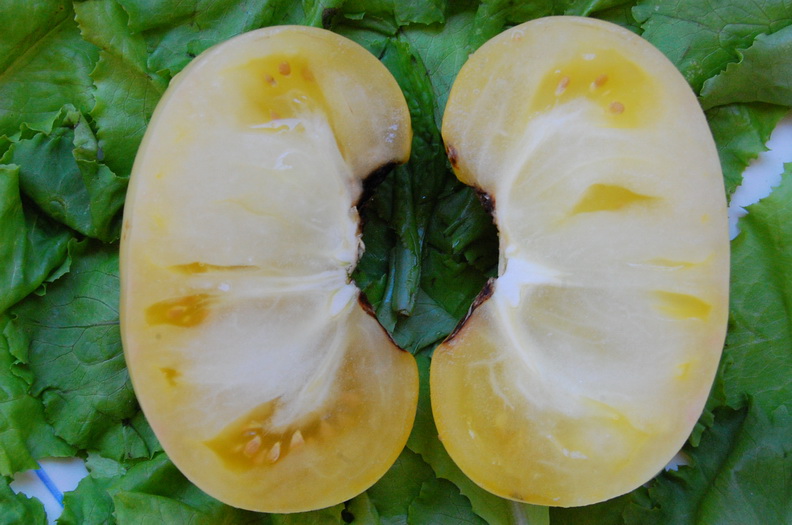 Фото 9. Семена редких коллекционных сортов томатов и перцев. Фото и описание сортов