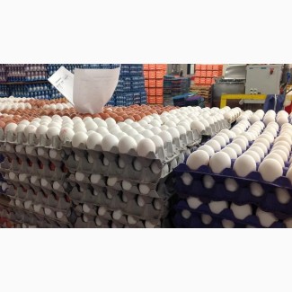 Яйцо куриное СО, С1, С2, С3 оптом от производителя