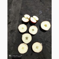 Белорусские яблоки оптом сорт Айдаред