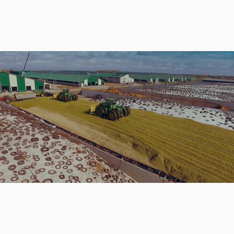 Фото 7. Проектирование строительство ферм крс козлятников под ключ запуском оборудования