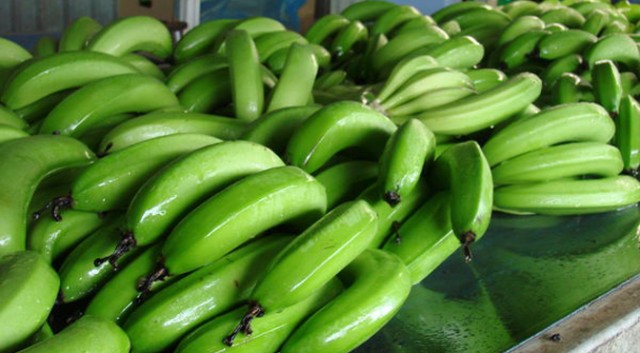 Фото 3. Продаем бананы Эквадор Камерун Мексика Судан