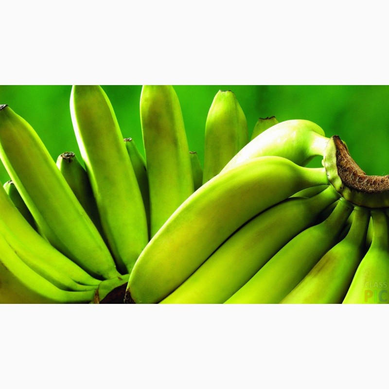 Фото 5. Продаем бананы Эквадор Камерун Мексика Судан