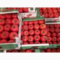 Продаем помидор