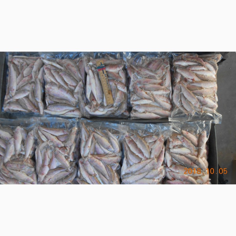 Фото 7. Крымская рыба и морепродукты оптом от производителя в Керчи