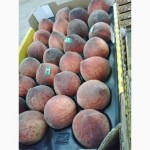 Персики и Нектарины из Марокко