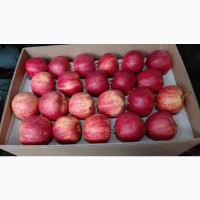 Яблоки в Молдове 0.36