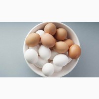 ОООСанарин, реализует яйцо куриное столовое С 1, крупным оптом
