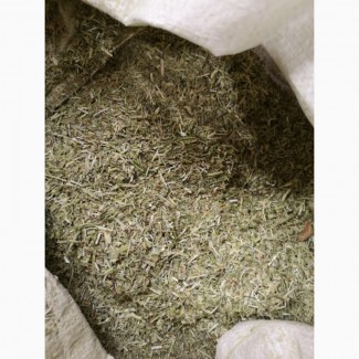 Астрагал шестистоцветковый трава (оптом от 5кг)