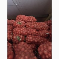 Продам волгоградский лук манас калибр 6, 7