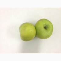 Яблоки сортов Глостер, Флорина, Айдаред сетевое качество (любые комбинации сортов яблок)