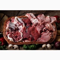 ООО АНРИВА Торговля оптовая мясом и мясными продуктами