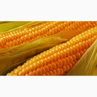 Пшеница, Соя, Кукуруза, Подсолнечник