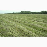 Продаём сено вика-овёс и травосмеси в рулонах 2017 года, Московская обл