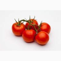 Продам томаты сорт Merlis