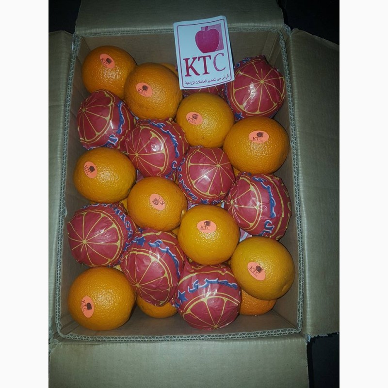 Фото 12. Продам апельсины из Египта