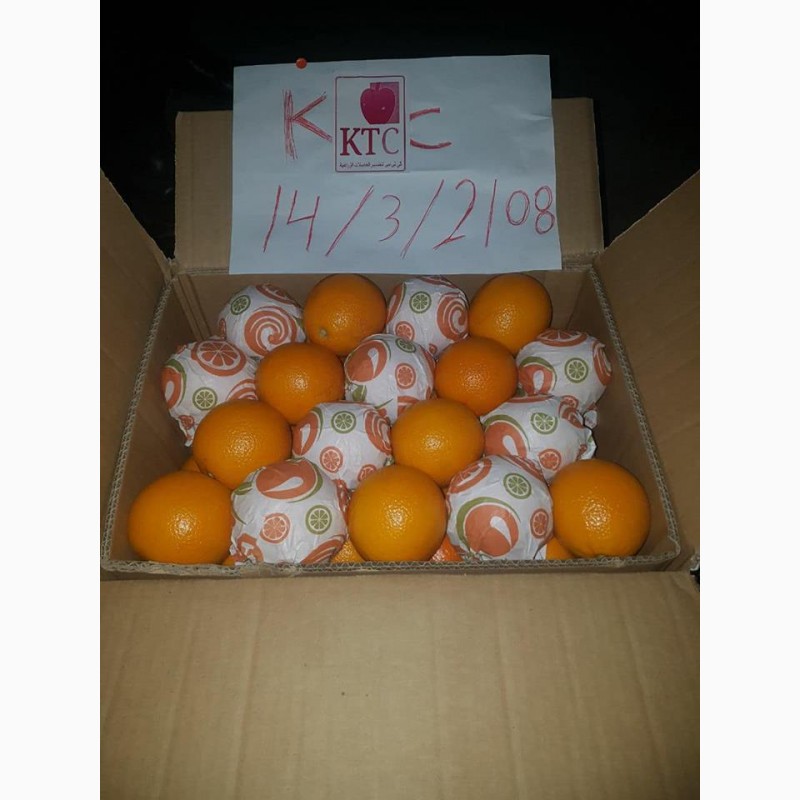 Фото 16. Продам апельсины из Египта