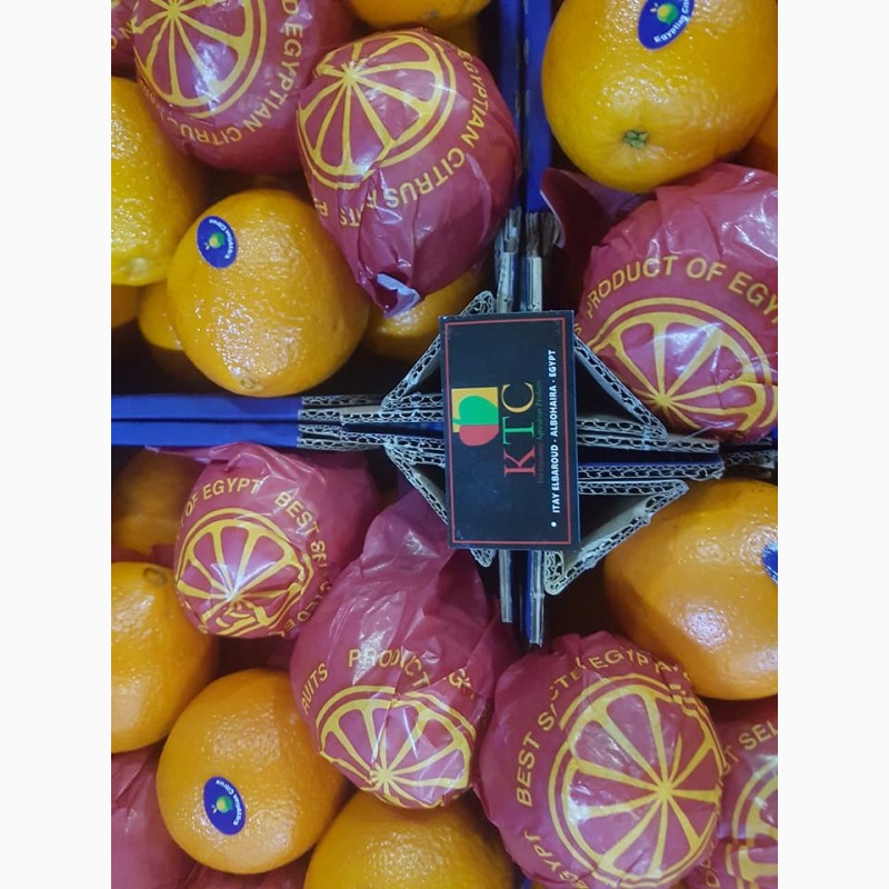 Фото 19. Продам апельсины из Египта
