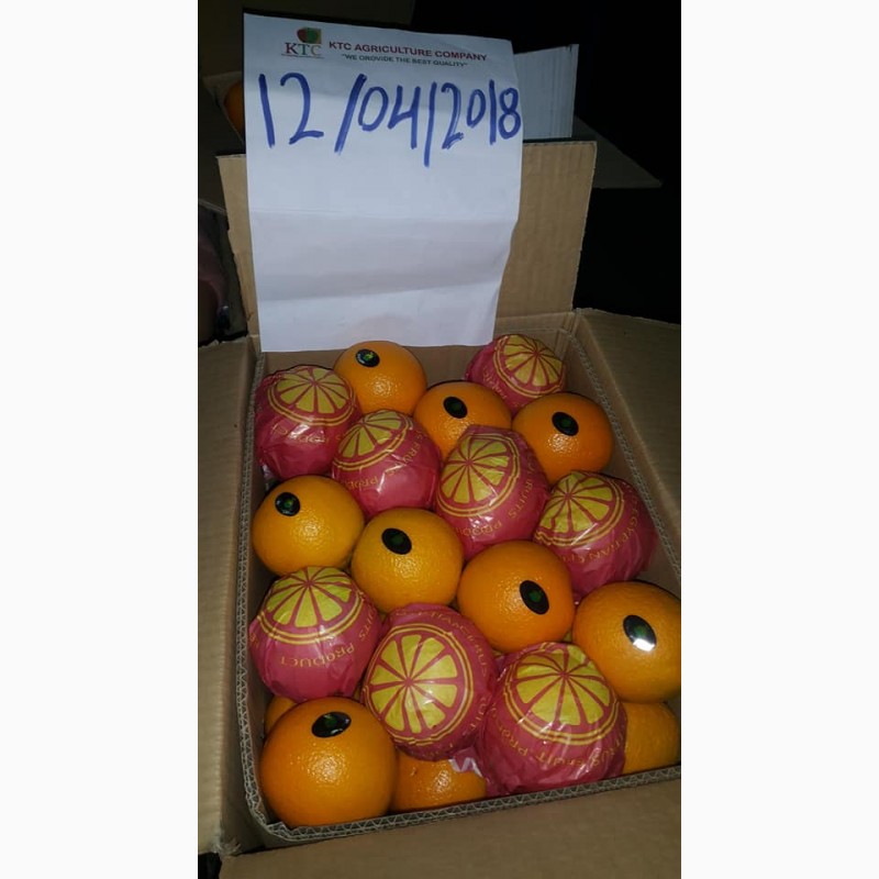Фото 20. Продам апельсины из Египта