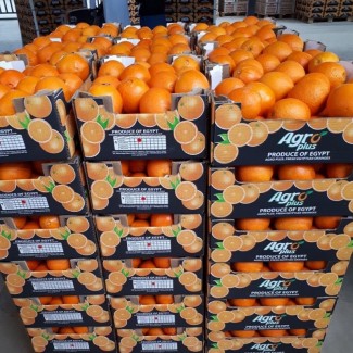 Апельсин со склада от прямого импортера