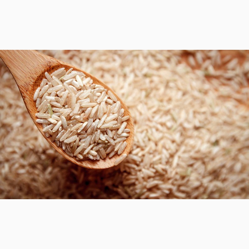 Купить БУРЫЙ рис оптом от производителя, Республика Бурятия — AgroRU.net