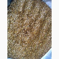 Продаем семена льна масличного для промышленной переработки