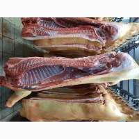 ОООСантарин, реализует мясо свинины в полут ашах 1-2 категории