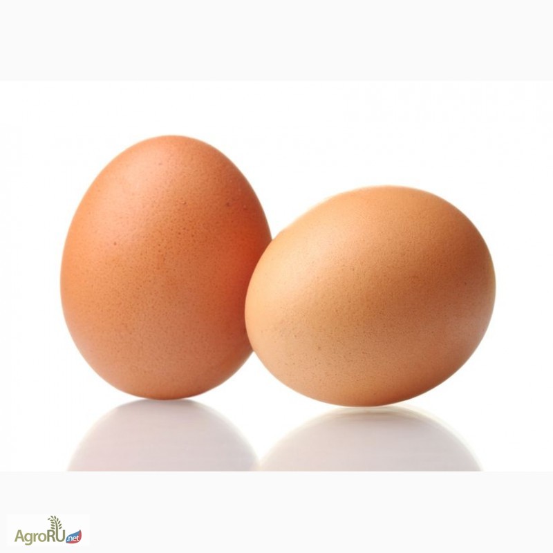 2 Куриных Яйца Фото
