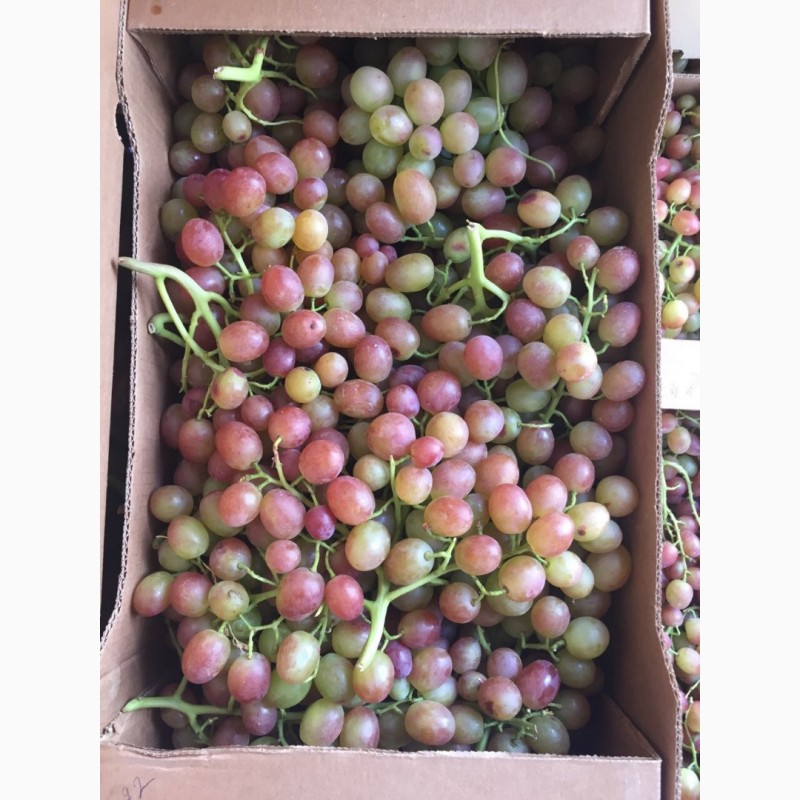 Фото 3. Продаем виноград от производителя в Крыму!Урожай 2018 года