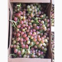 Продаем виноград от производителя в Крыму!Урожай 2018 года