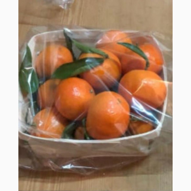 Фото 6. Продам упаковку для овощей, фруктов, грибов, ягод