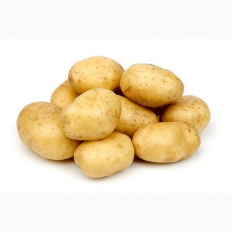 Продаём картофель оптом с доставкой по России
