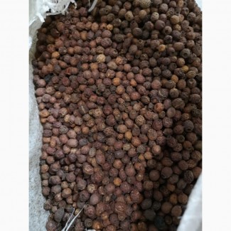 Боярышник черный плод Краснодар (оптом от 5кг)