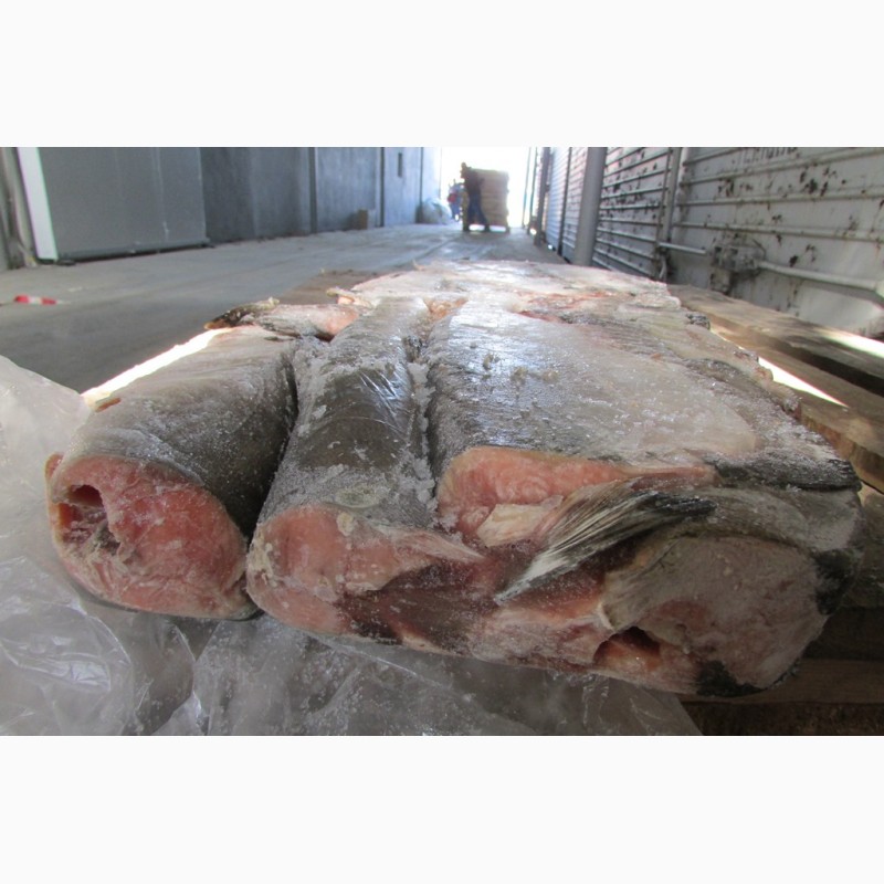 Фото 2. ООО Сантарин, реализует рыбные пресервы.рыбу, морепродукты, икру чёрную