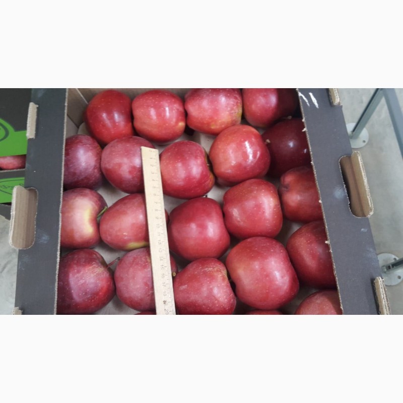 Фото 4. Яблоки разных сортов. Производитель