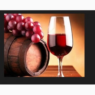 Винный виноград изабелла красный