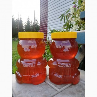 Продам мёд Алтайский с собственной пасеки. Урожай 2020